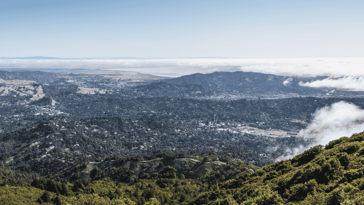 A view from the hills of Marin County looking out over the county.